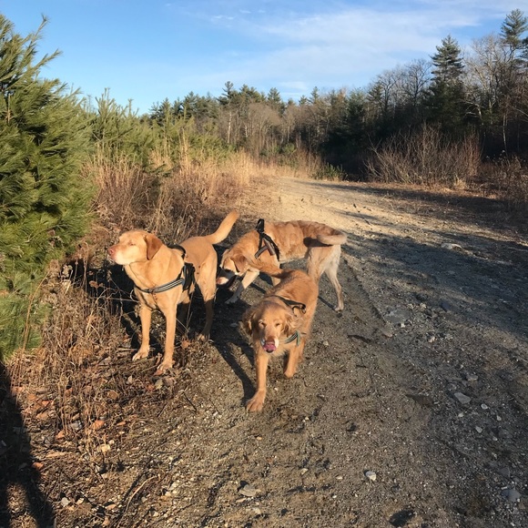 Meet your Posher, Andrea - Picture 1 of 1